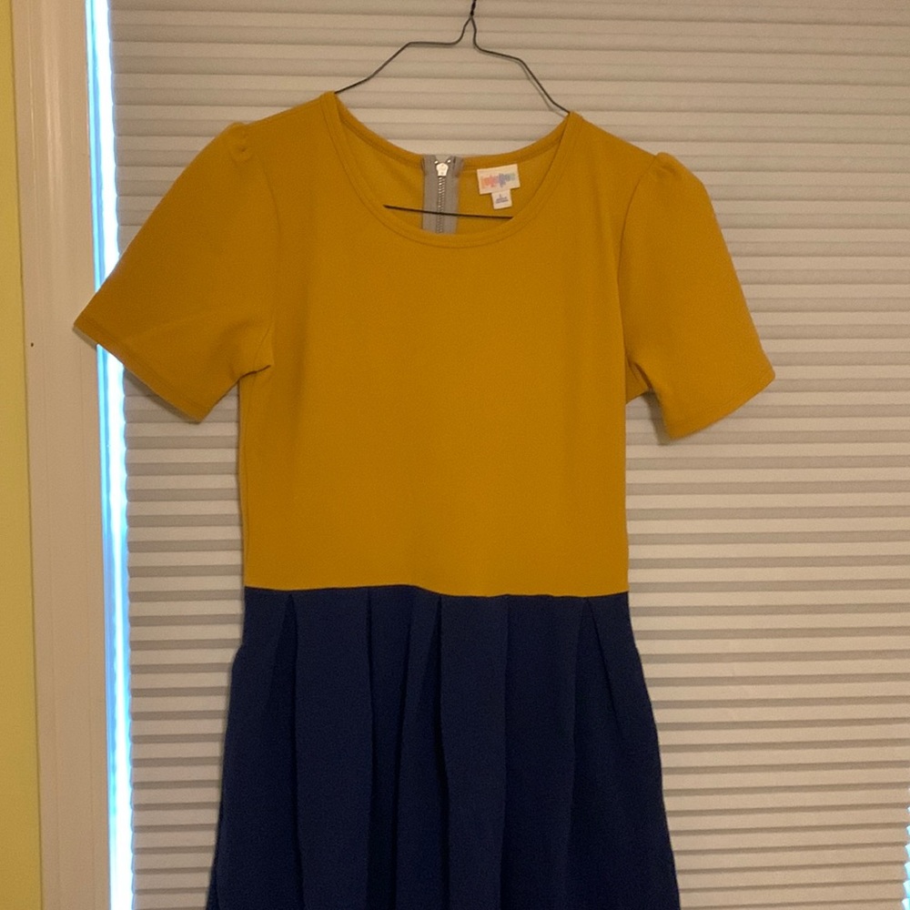 Color-block Amelia Dress